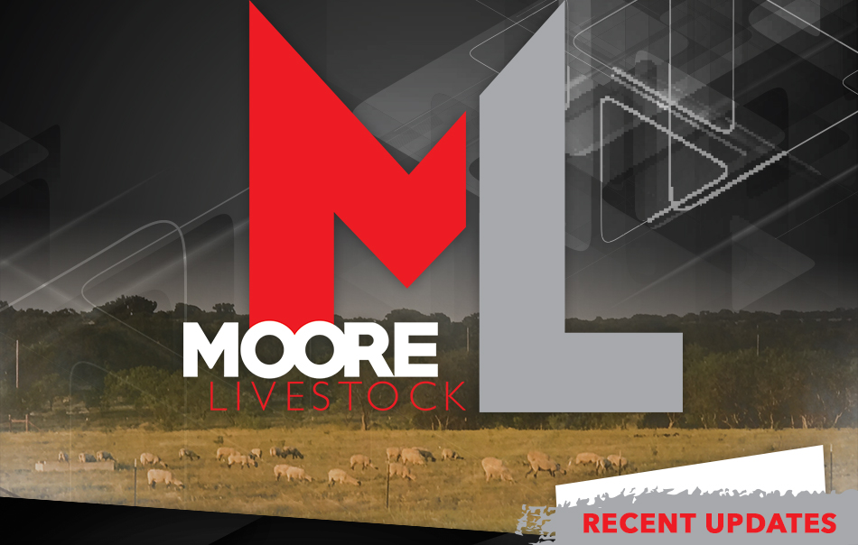 Moore Livestock